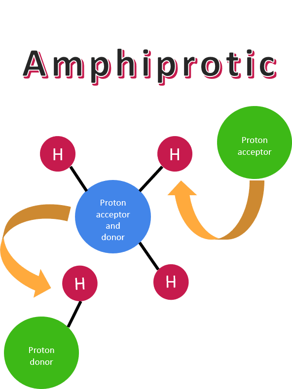 Amphiprotic