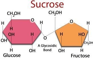 Molar mass of sucrose