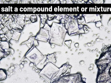 Is the salt compound or element