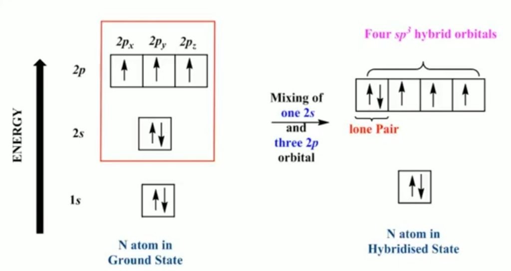 Hybridization of nitrogen