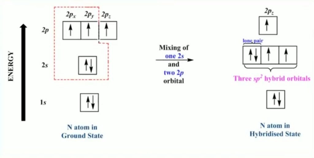 Hybridization of nitrogen