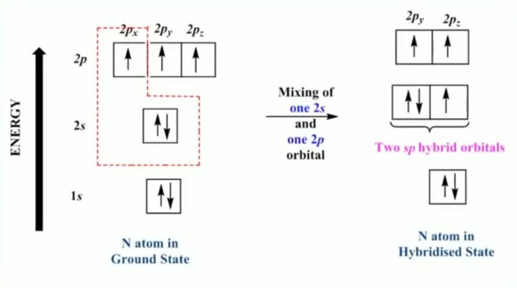 hybridization of nitrogen