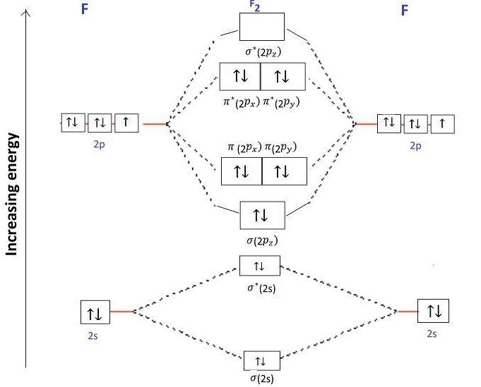 Bond Order of F2