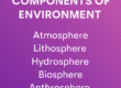 Component of Environment